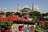 Celal Sultan