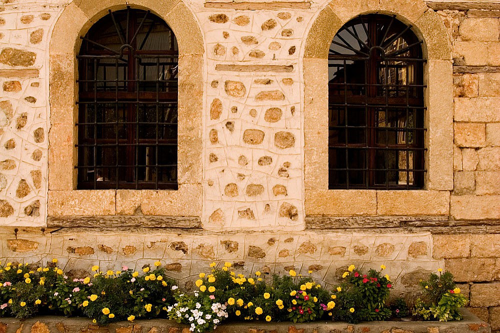 Hotel Alp Pasa