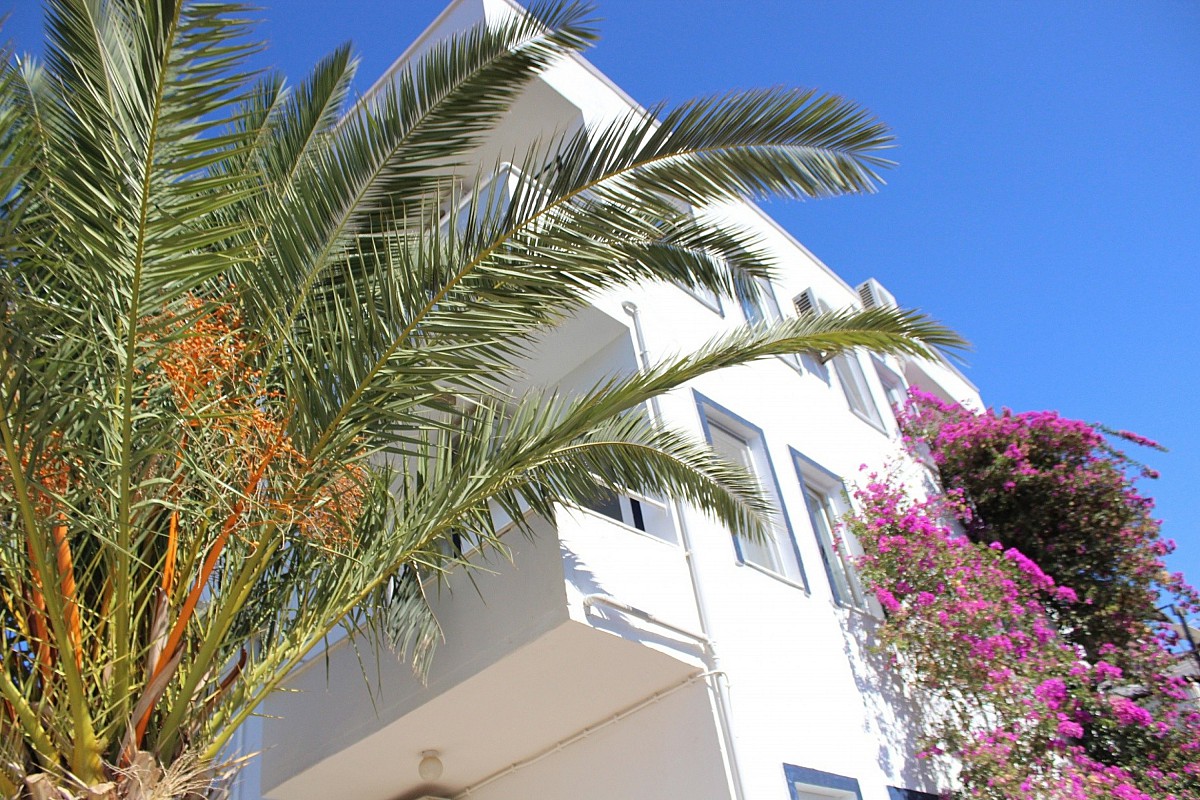 Pension Selim 