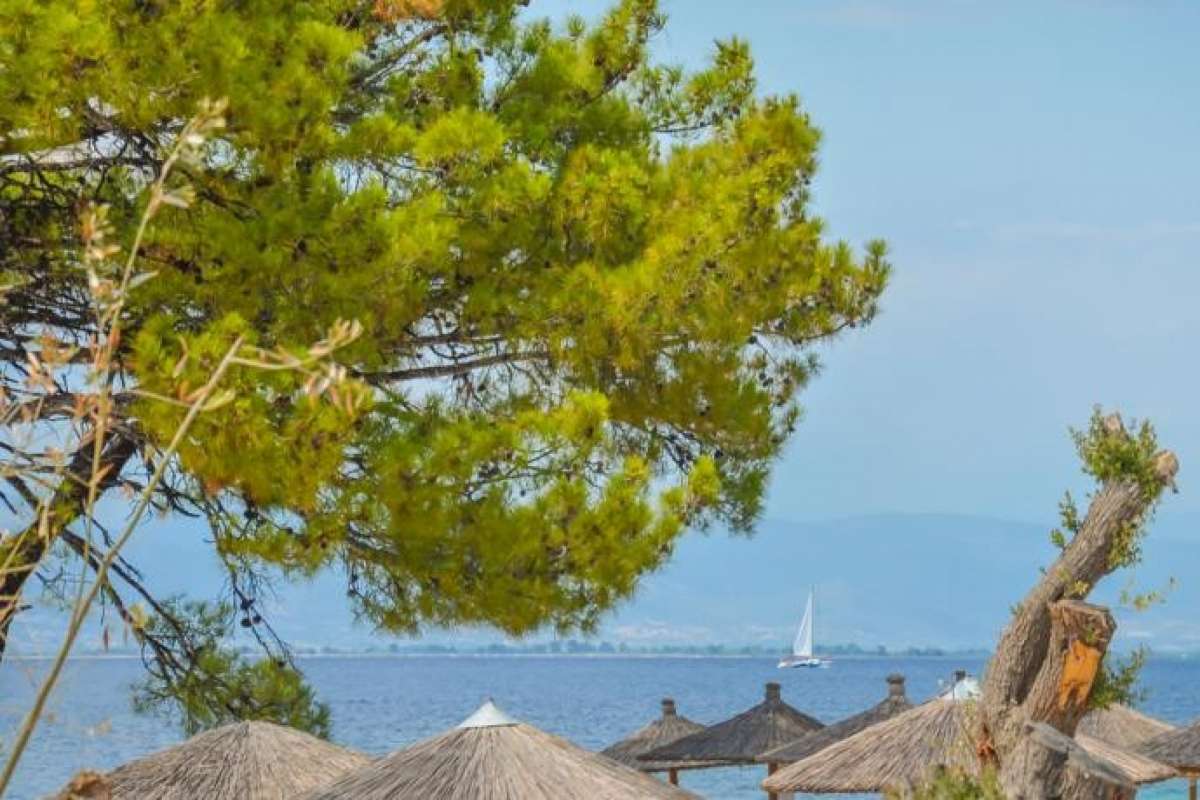 Sentido Thassos Imperial - Pachis-Strand