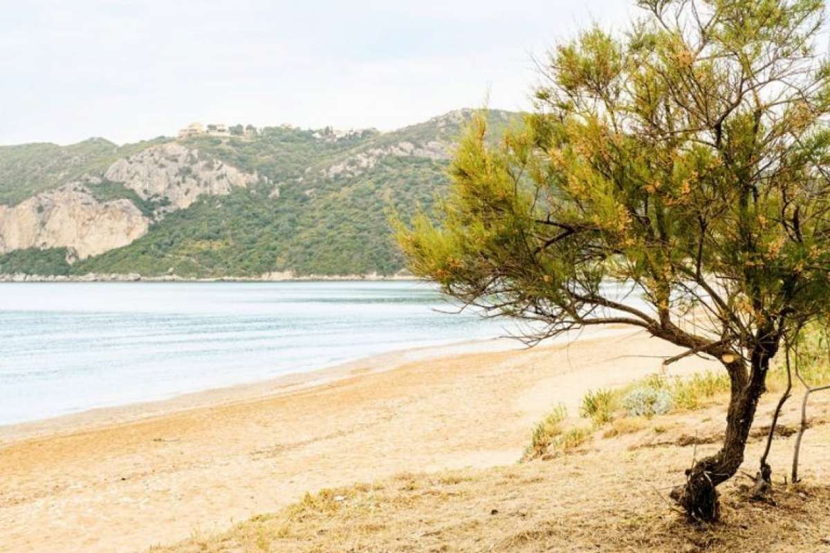 Belle Helene Beach Hotel