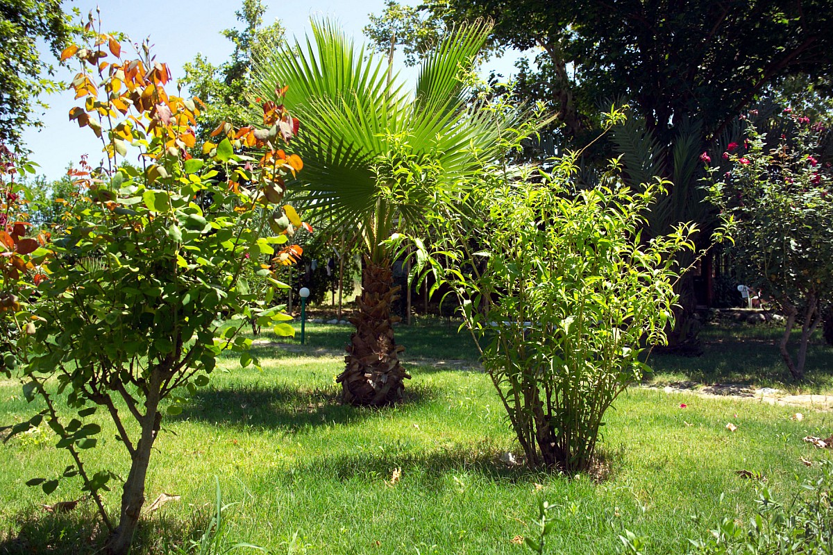 Pension Yavuz