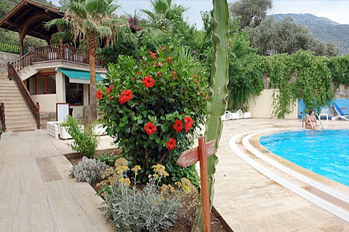 Hotel Meri