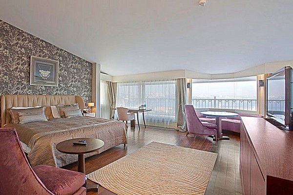 Hotel Levni