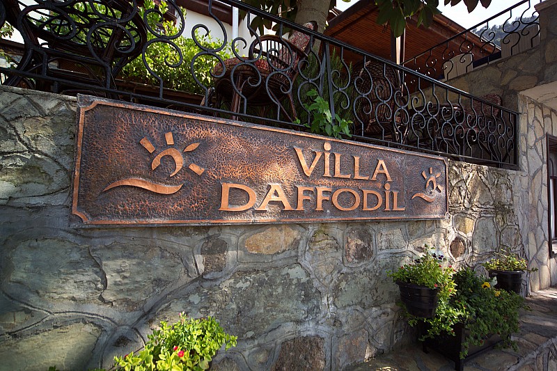 Hotel Villa Daffodil