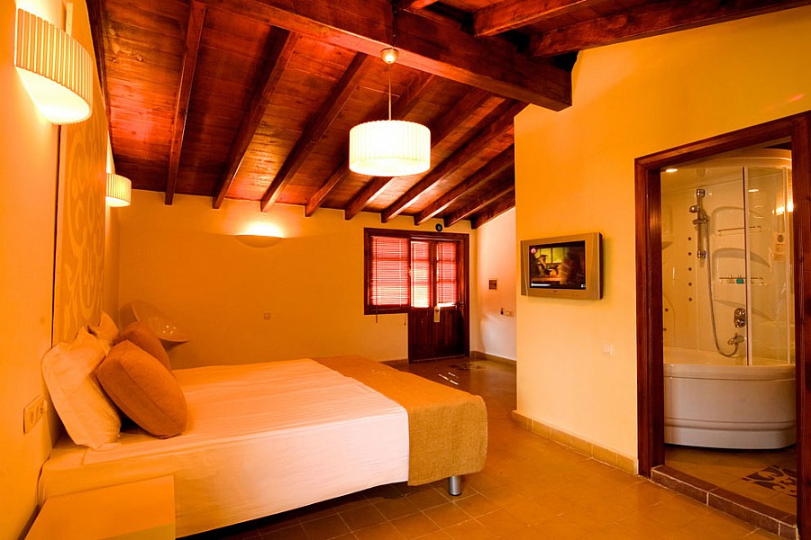Hotel Alp Pasa